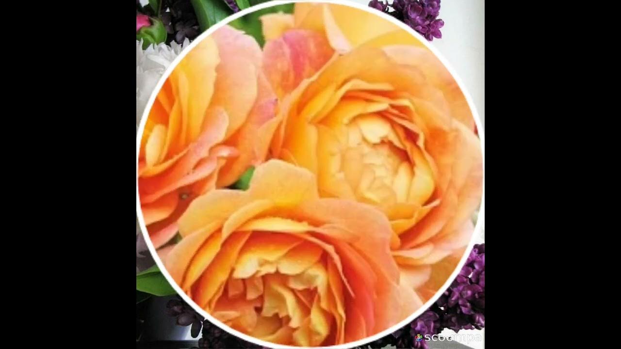 русская музыка к 8 марта