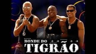 bonde do tigrão adoleta