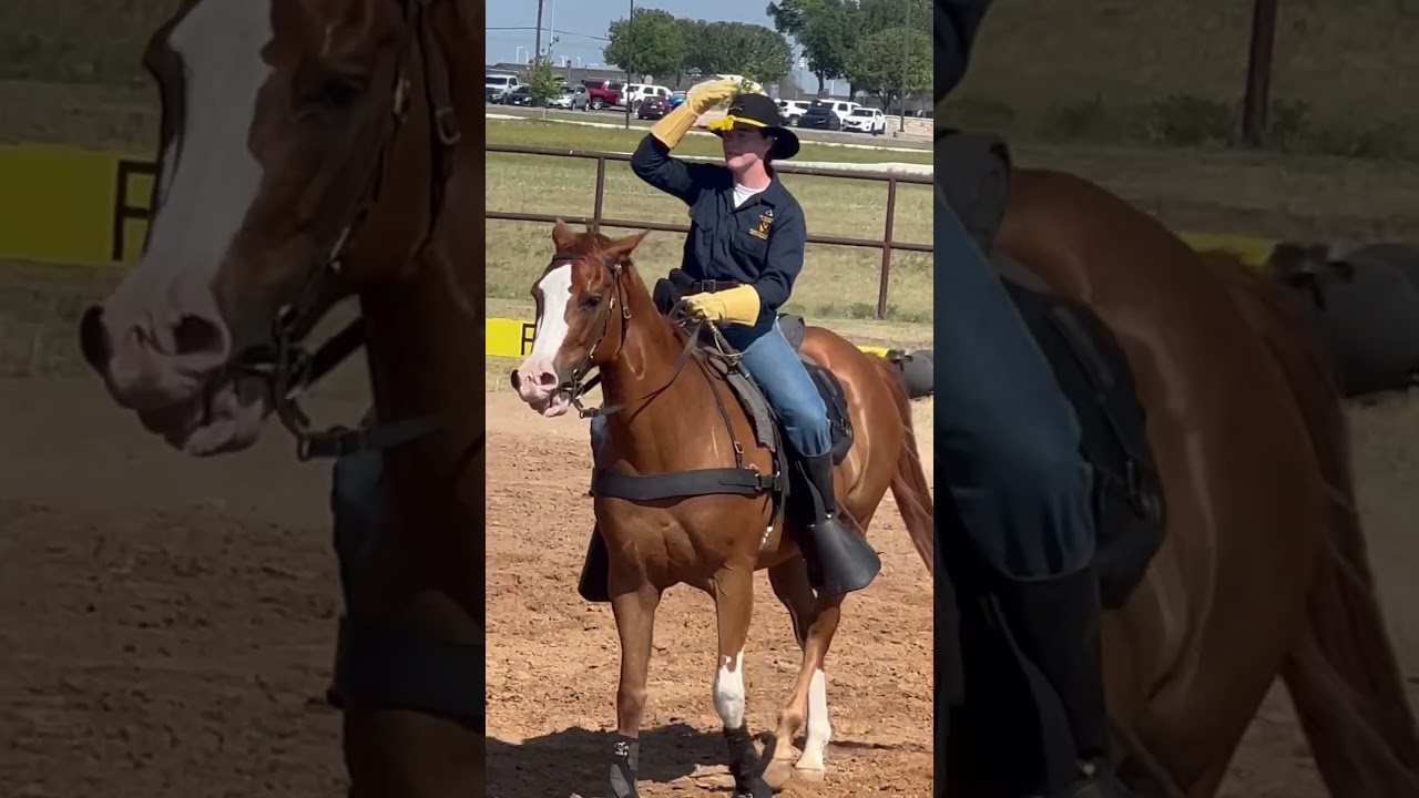 Horse Cavalry Detachment . Fort Hood Texas. Horse Performance . 