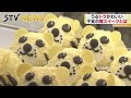 勇ましくて優しいとらちゃん　ことしの干支がスイーツでも主役張る　スイーツ激戦区札幌で競演