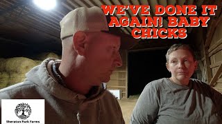 We Bought Baby Chicks Through The Mail!  Baby Chick Care Getting Baby Chicks In The Mail