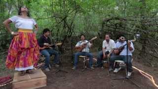 Video voorbeeld van "Los Cojolites - Son Sin Fin (Live @Pickathon 2012)"