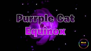 [LO-Fi][CHILLED OUT][CALM][RELAX MOOD][NO COPYRIGHT] PURRPLE CAT - EQUINOX