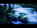 蒼い糸 角川博 cover