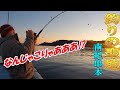 ページ24　本州最南端【串本カセ釣り】2月の寒ブリ、大アジを狙う！