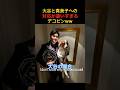 今のところ大谷より真美子派なデコピン🐶