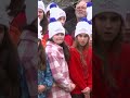Christmas tree for Boston gets chopped