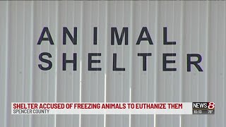 Shelter accused of freezing animals to euthanize them