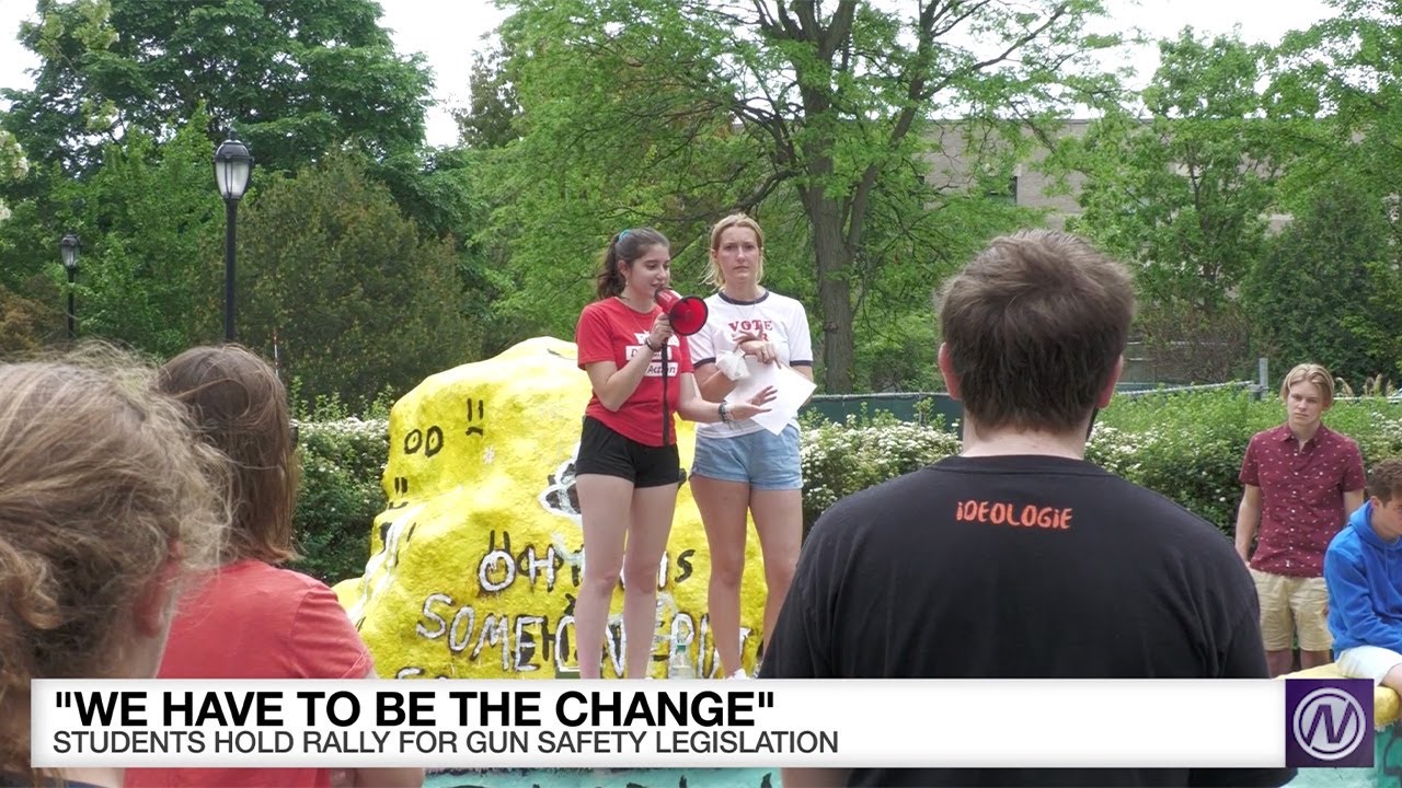 Northwestern Students Demand Action on Stricter Gun Laws - Northwestern News Network