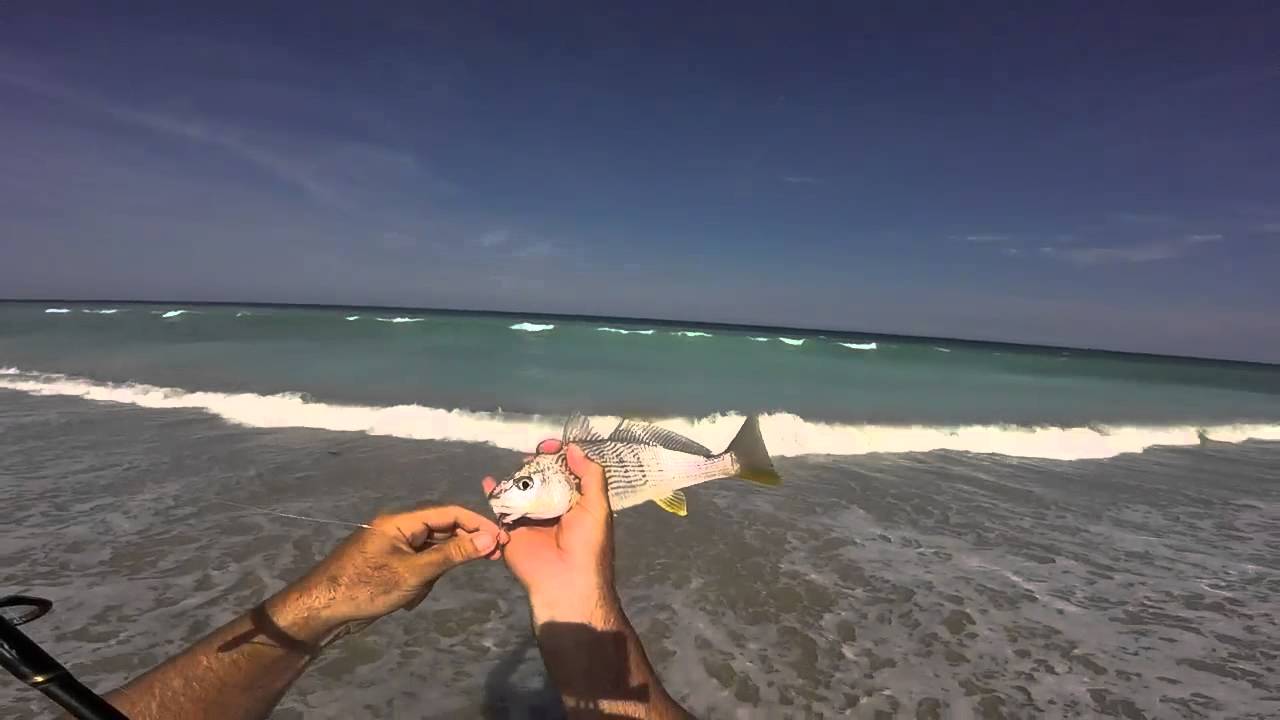 How To Catch Tons Of Croakers Surf Fishing Florida You How To Catch Tons Of Croakers Surf Fishing Florida