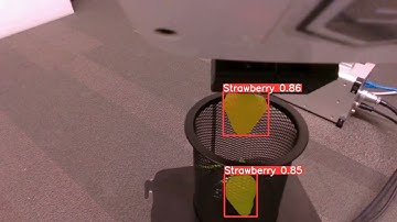 Autonomous Berries Picking using Robotics, AI and Computer vision