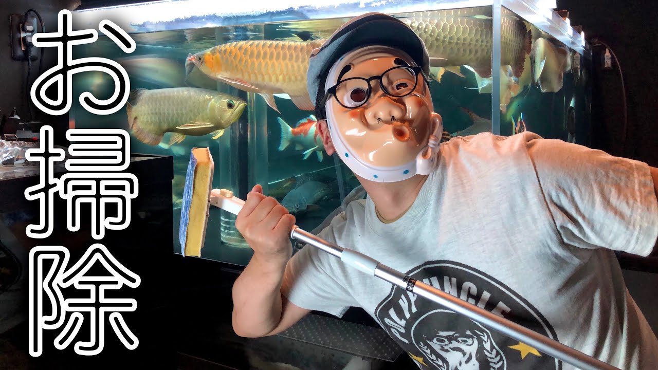 2400水槽をサステナブルにお掃除する