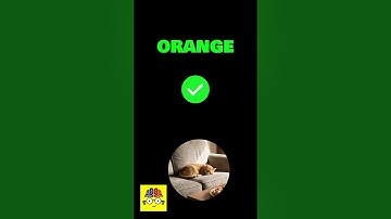 Do You Have a Photographic Memory? 📸 Test Yourself! #Shorts