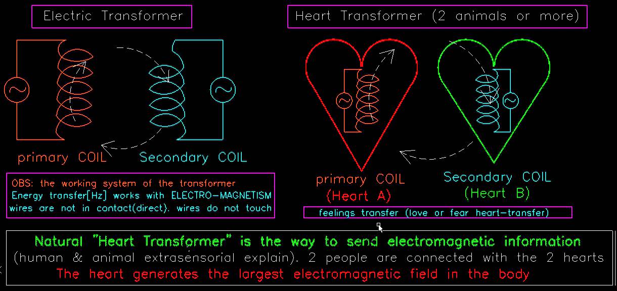 HEART Affects live heart feelings transfer (love or