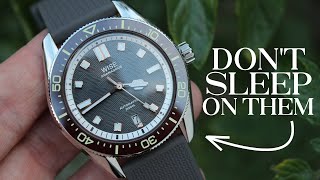 I've been waiting for one of these divers . . . and it doesn't disappoint! | Wise Adamascus Diver by The Town Watch 6,576 views 1 year ago 7 minutes, 33 seconds