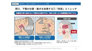 嚥下障害への対応と危機管理 歯科口腔外科領域における嚥下リハビリテ-ションと安/口腔保健協会/大井久美子（単行本） 嚥下障害への対応と危機管理 歯科口腔外科領域における嚥下