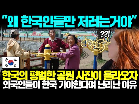 "왜 한국인들만 저러는거야" 한국의 평범한 공원 사진이 올라오자 외국인들이 한국 가야한다며 난리인 이유 l 해외반응 한류