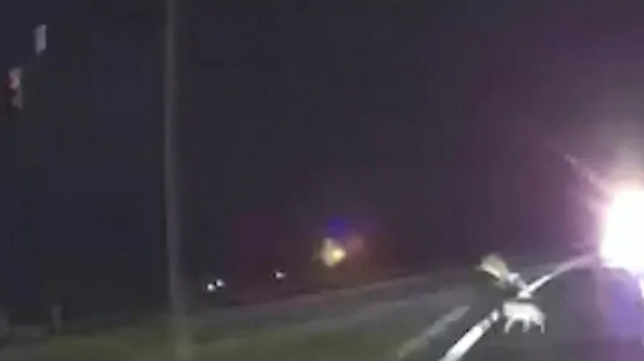 News Brief, 1/18/20, 11 p.m. update