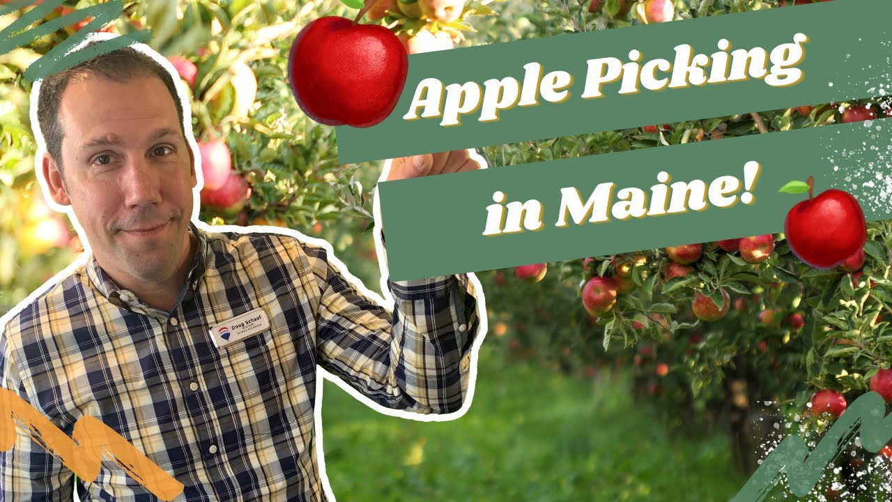 Maine Apple Picking Exploring Maine in the Fall ! YouTube