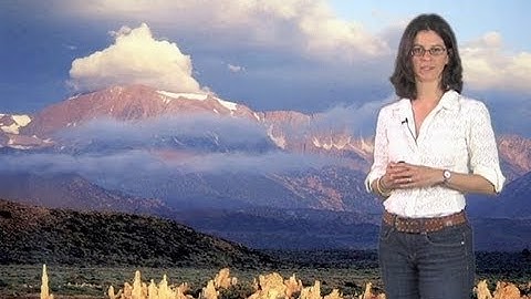 Dianne Newman (CalTech) Part 1: An Overview of Microbial Diversity and Evolution