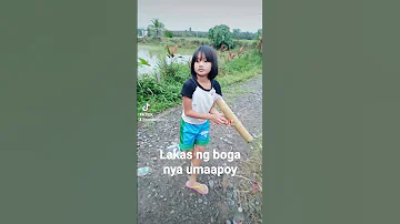 boga nya gawa sa lata ng sardinas ang lakas