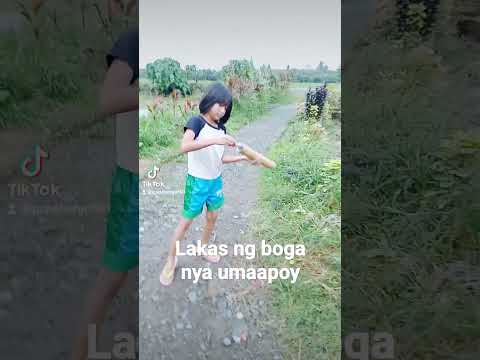 Video: Monocotyledonous na halaman: pinagmulan at katangian ng klase