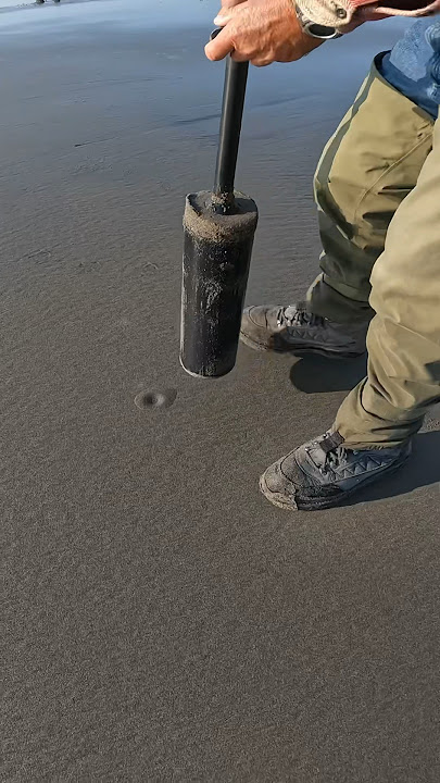 Razor Clam Digging Oregon Coast Danielson Clam Gun #oregoncoast #razorclams #clamdigging #clamming