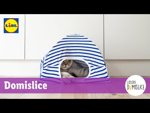 Video: Kako Narediti Mačji Kostum