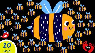 Baby Sensory Color Magic | Soothing Visuals & Soft Music | Nature Fun Baby Sensory Adventure screenshot 4
