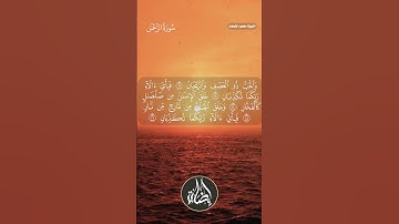 محمود الشحات أنور وتلاوة هادئة من سورة الرحمن#اضاءة #قرآن_كريم #تلاوة_خاشعة #حالات_واتس  #راحة_نفسية