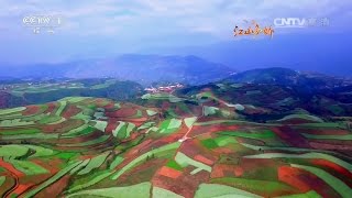 [Eng Sub] 20161007 CCTV - Charming Nation E4 - Colours