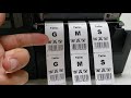 Imprime varias etiquetas al mismo tiempo con esta solución y ahorra en cabezales de impresión!