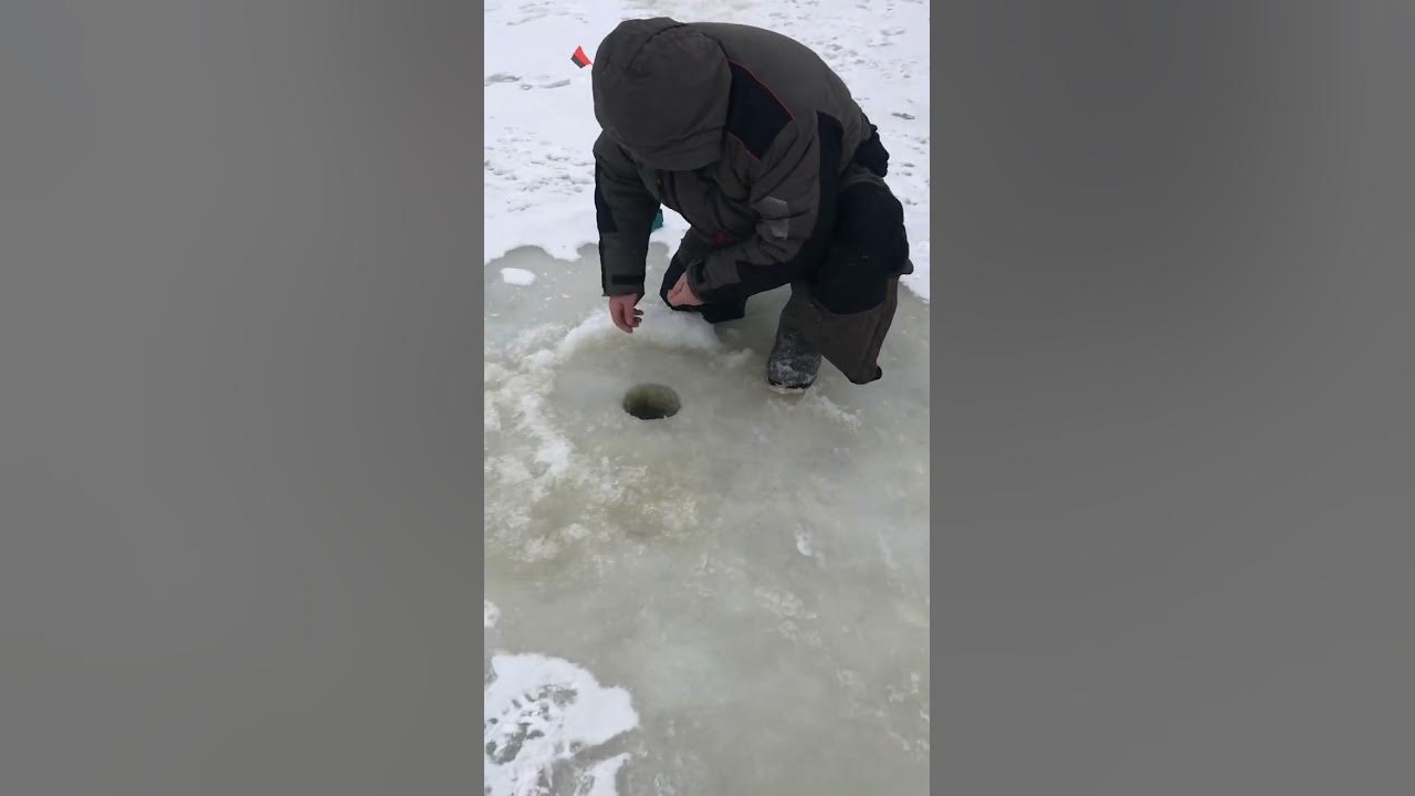 Русфишинг. Платная рыбалка в батуми. Золотая подкова рыбалка лобаново. Русфишинг форум. Ru форум.