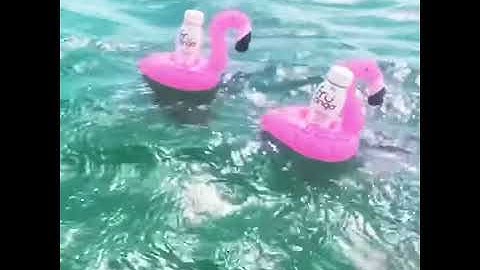 Float On With Fruzinga + Flamingos