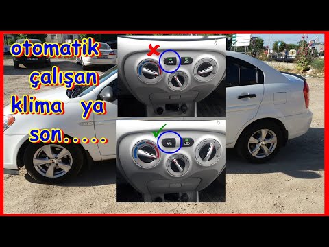 Video: Aynı kandan mıyız?