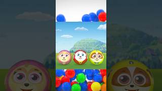 Paw Patrol Marble Race! #Shorts