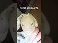 j'avais pas d'inspi #viral #dripddd #music #humour #memes #funny #abonnetoi #cute