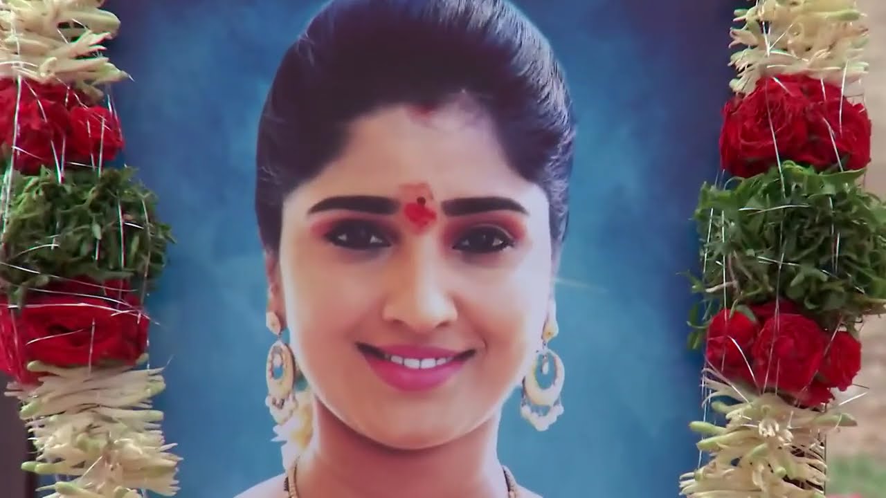 Kalyana Vaibhogam - Ep 768 - Meghana Lokesh - Telugu Tv Serial - Zee5 Telugu Classics