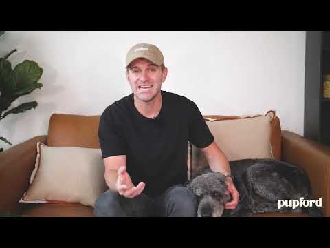 Make Transitioning to A New Dog Food Smooth & Easy & Yes We Are Talking About Digestion.