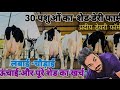 डेयरी फार्म के लिए Perfect शेड कैसा बनाए || How to make dairy farm shed, shed design &amp; cost, HF cow
