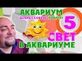 Аквариум.  Свет в аквариуме. Добрые советы новичку.