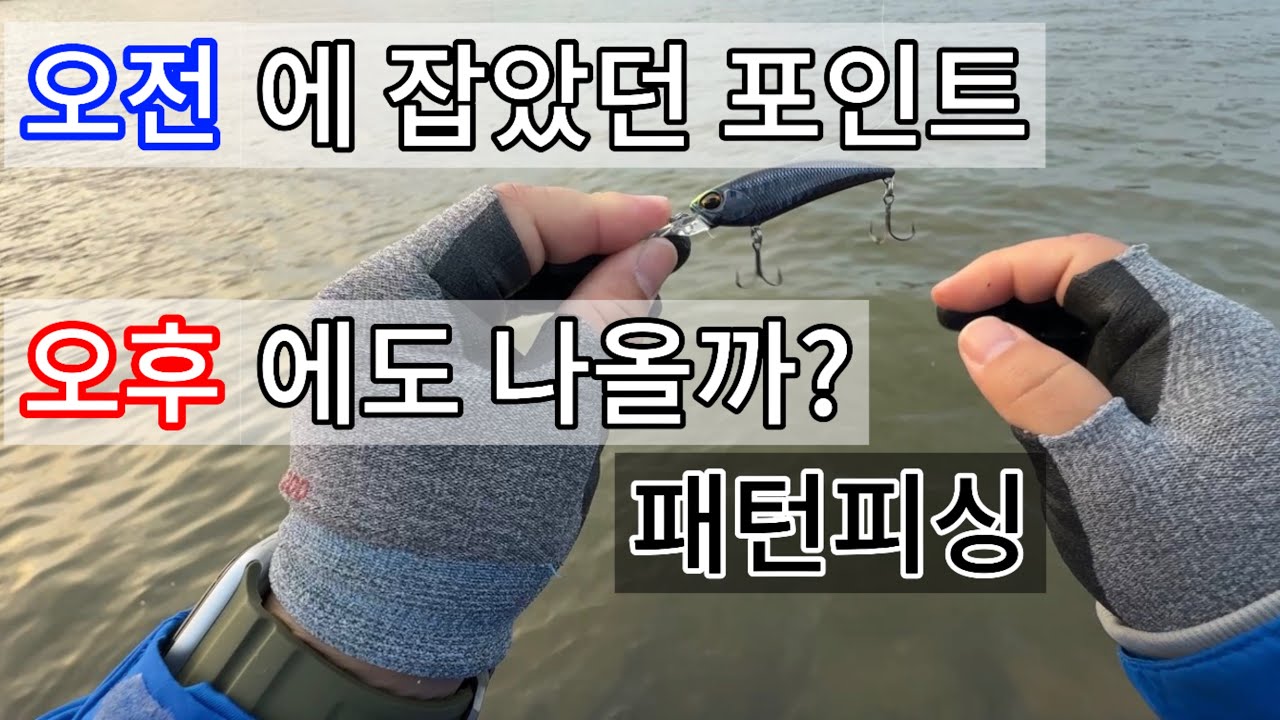 20251109 배스낚시 / 오전에 들어갔던 포인트 오후에도 들어가봤더니