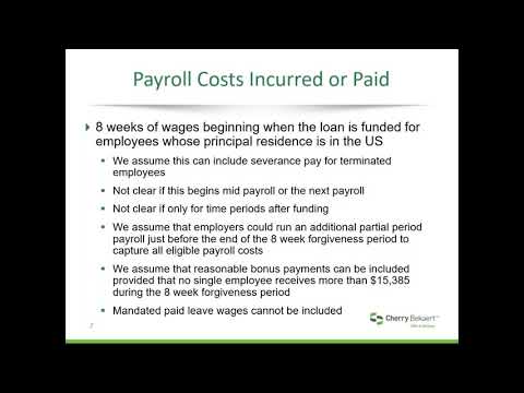 Webinar: PPP Loan Forgiveness