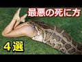絶対に嫌だ！最悪の死に方　ワースト４選
