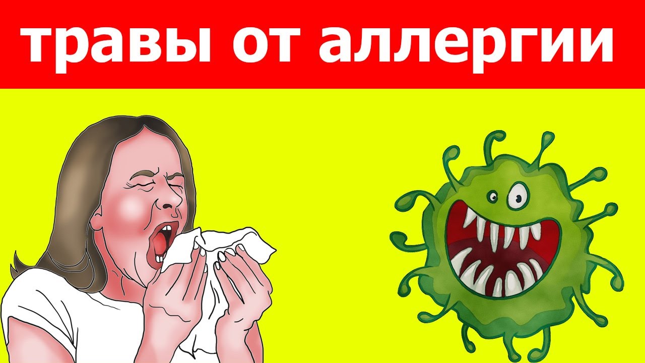 Как избавиться от аллергии народными средствами?! - YouTube