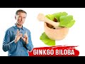 The Benefits of Ginkgo Biloba