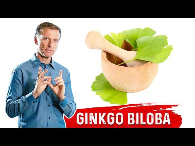 What is Ginkgo Biloba? – The Benefits of Ginkgo Biloba – Dr.Berg class=