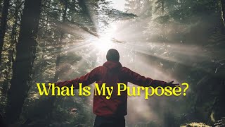 The Best Way To Find Your Purpose in Life.