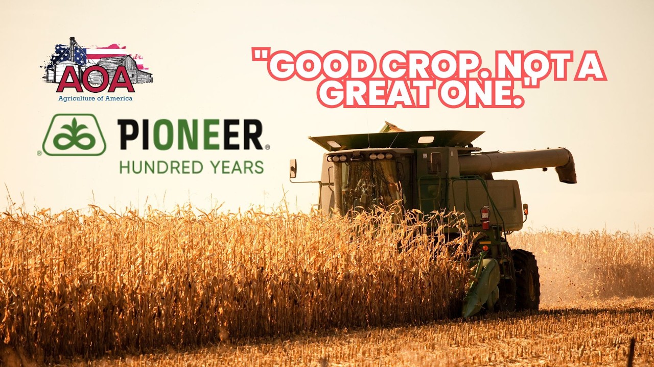 Late-Season Corn Disease Pressure Builds in 2026 | Pioneer Agronomist
