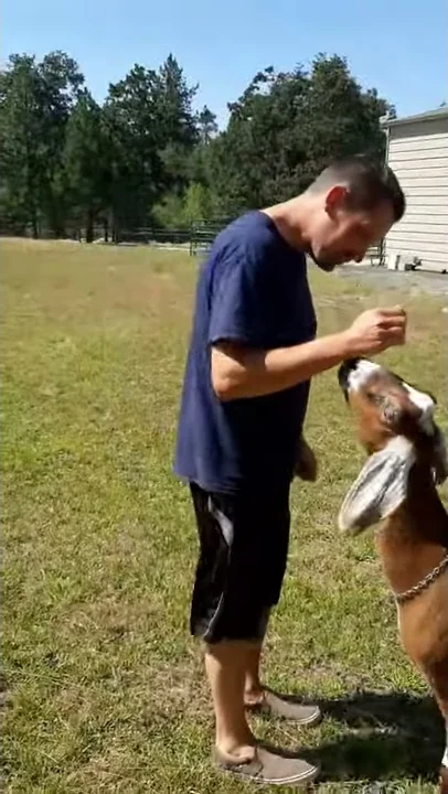 Hide and Seek with Goats